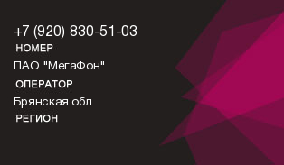 9208305103